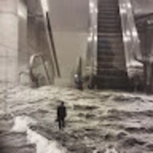 Meet your Posher, Sylvester